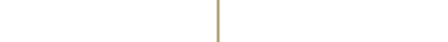PI-Logo-Horzontal-White-and-Gold2