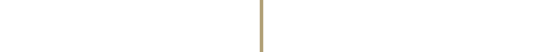 PI-Logo-Horzontal-White-and-Gold2